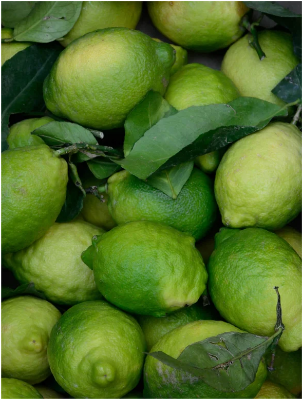 Fresh green lemons surrounded by leaves, showcasing their vibrant color and natural texture.
